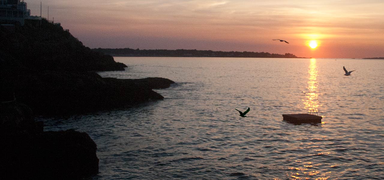 Sunrise on the rocks - Arbor House Bed and Breakfast